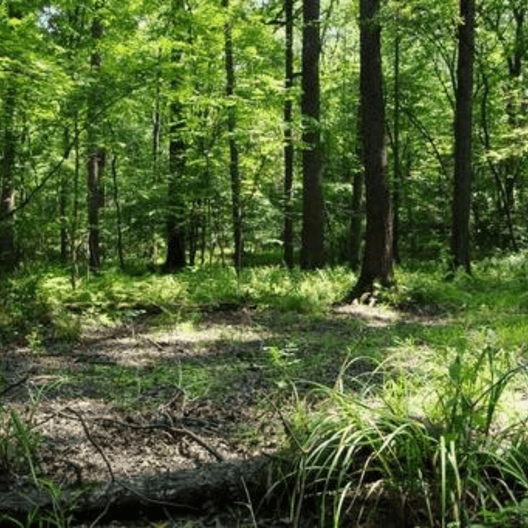 Deer Park Lumber Co., Inc.